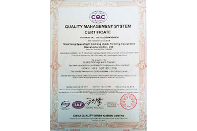 ISO9001 certificate
