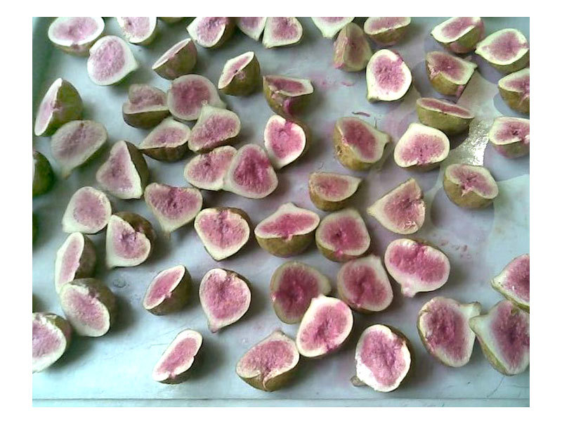 Freeze-dried figs