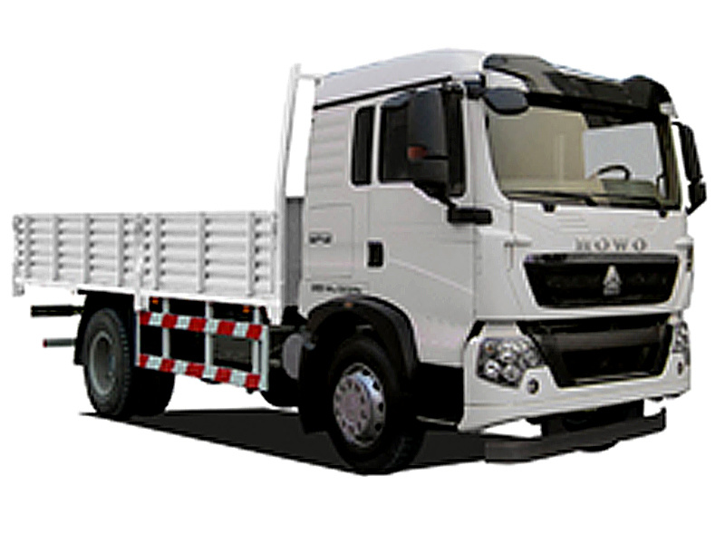 T5G-Cargo Truck 4*2