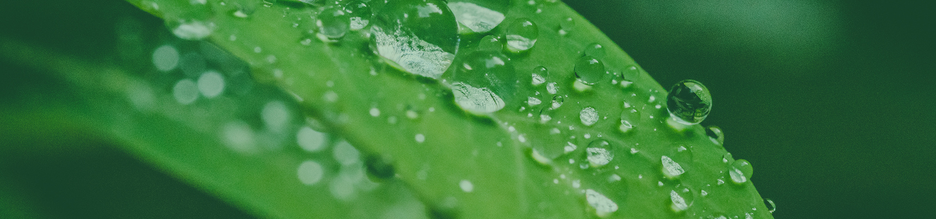 產品中心