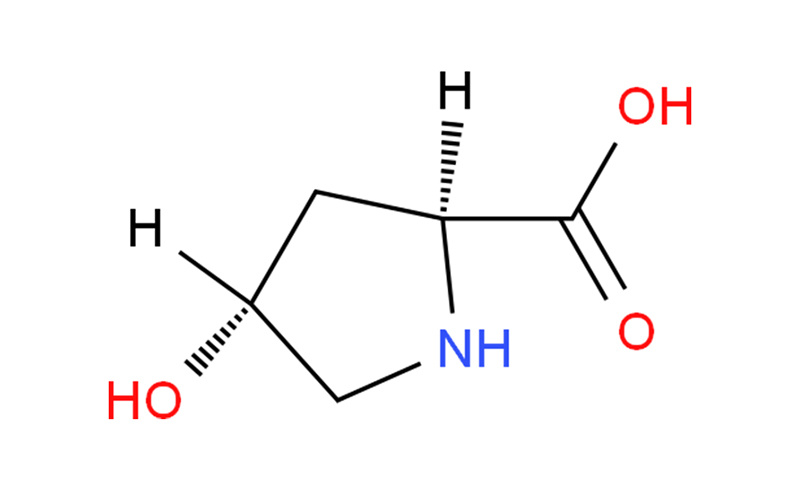 L-羥脯氨酸