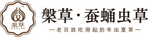 槃草