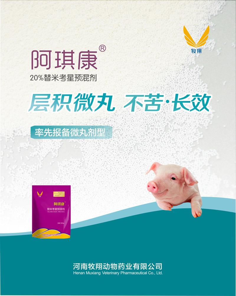 “牧”业盛会 共“翔”未来