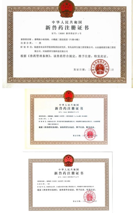 【科技牧翔】從A到Z：選擇祺祥的26個理由