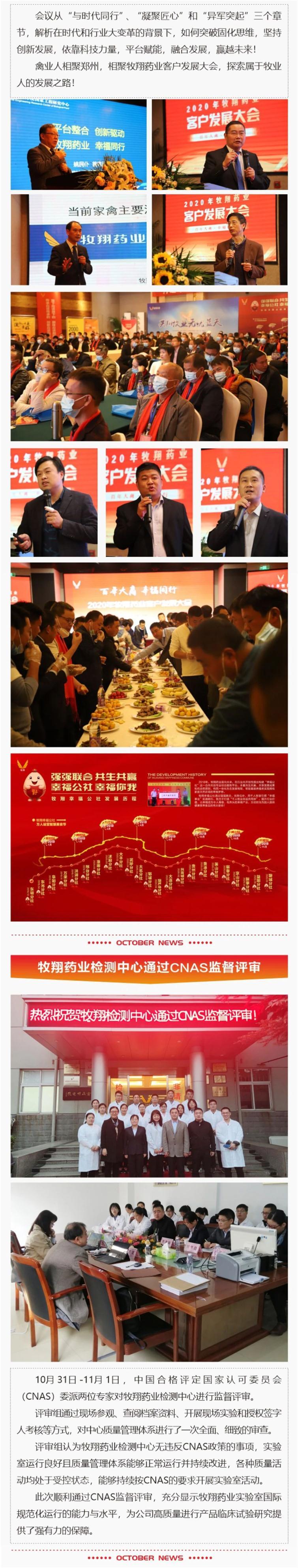 牧翔幸福互聯一圖概覽 ‖ 歡騰的十月