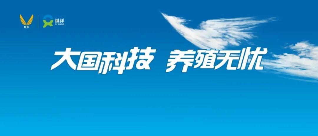 【科技牧翔】从A到Z：选择祺祥的26个理由