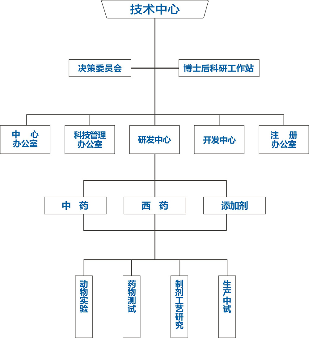 组织结构