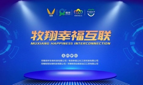 【创新牧翔】10个关键词丨一起回顾2020上半年牧翔集团的高光时刻1