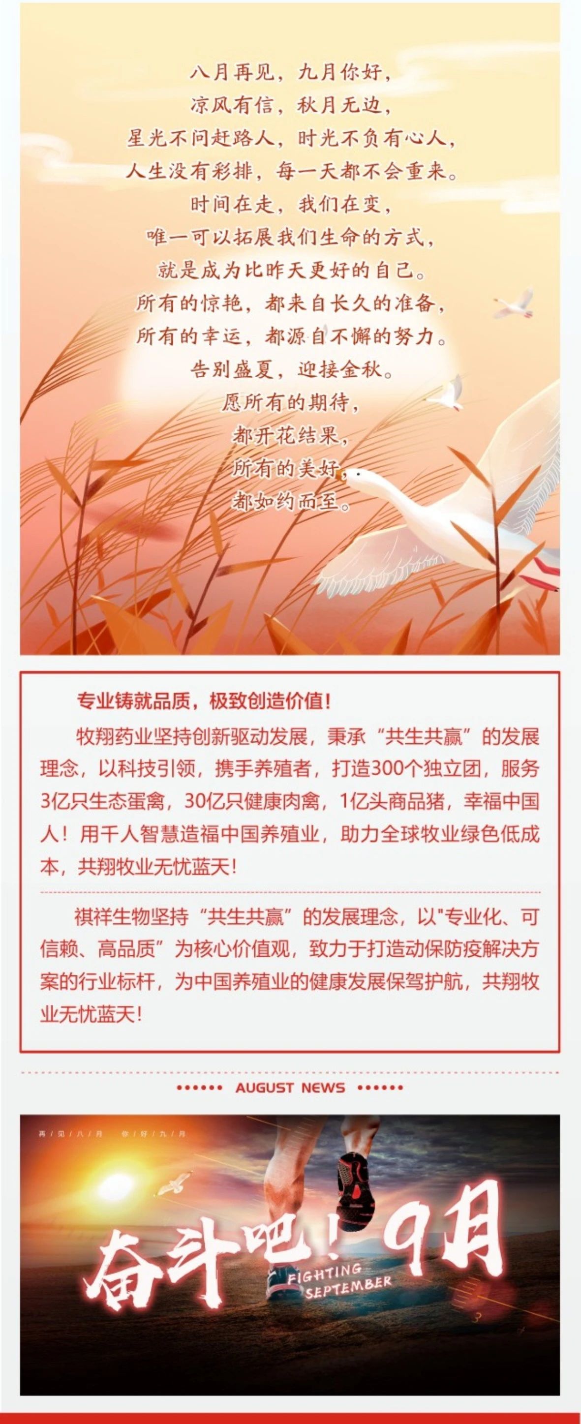 牧翔幸福互聯一圖概覽 ‖ 奮斗的八月