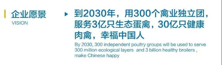 【科技牧翔】從A到Z：選擇祺祥的26個理由
