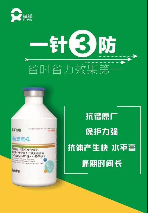 【科技牧翔】從A到Z：選擇祺祥的26個理由