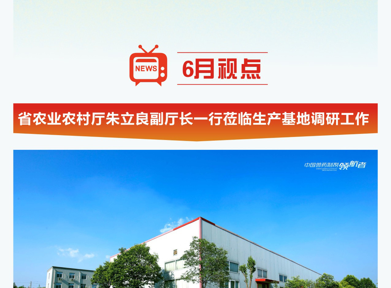 牧翔幸福互聯一圖概覽 ‖ 盛放的六月