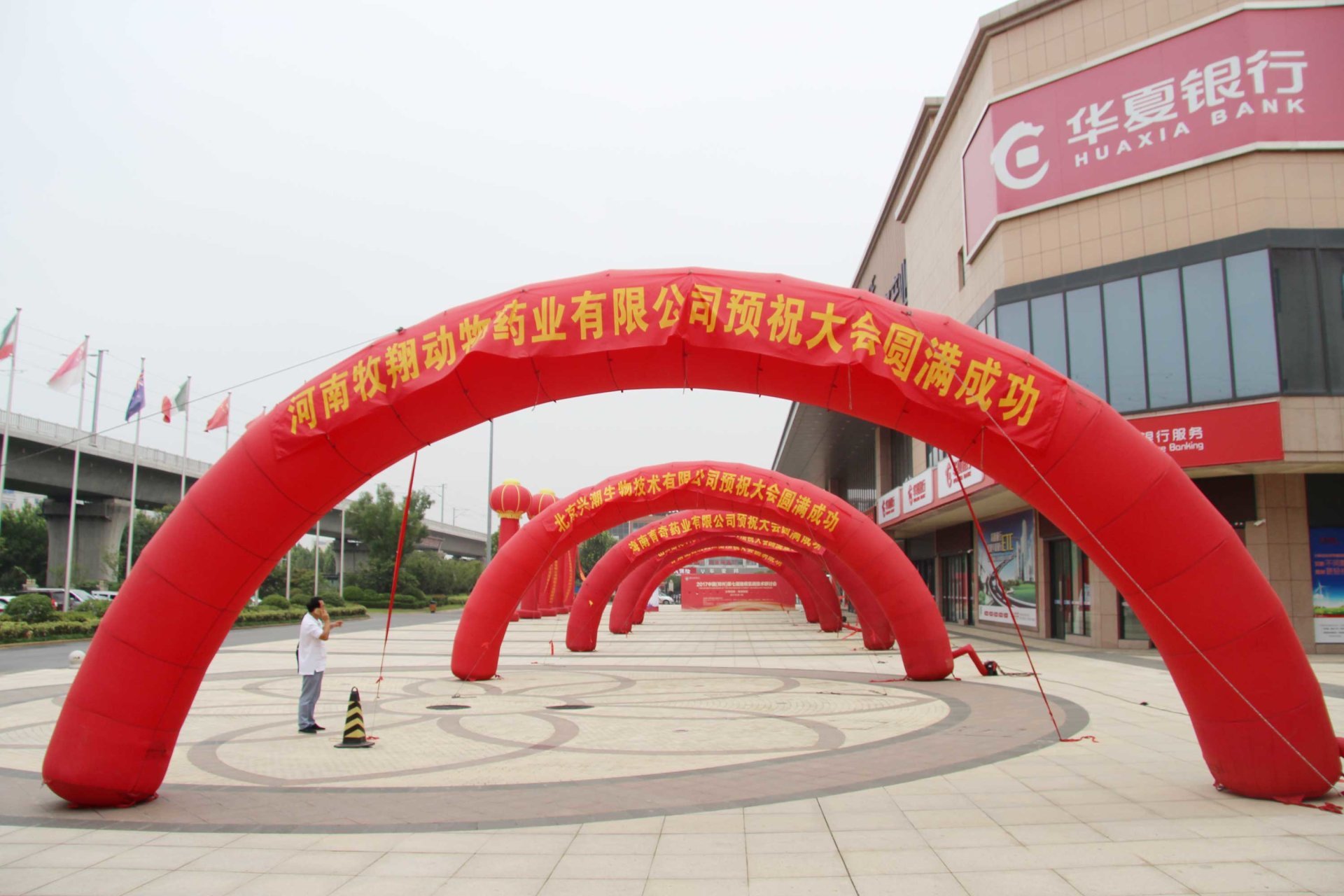 豬病實戰技術專家論壇在公司召開
