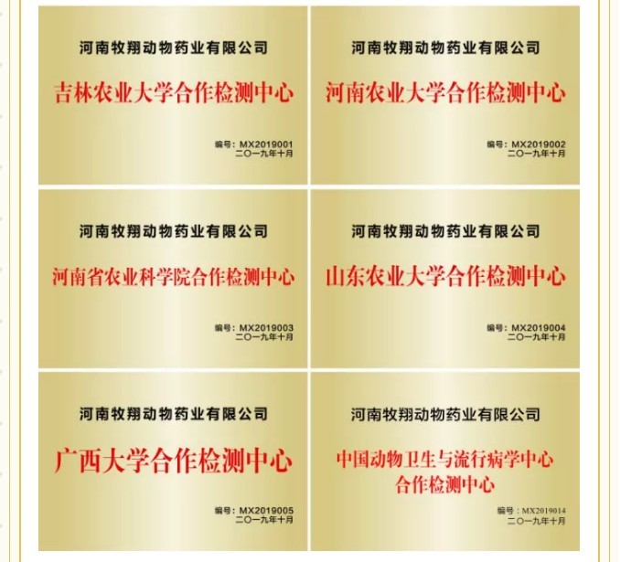 【创新牧翔】10个关键词丨一起回顾2020上半年牧翔集团的高光时刻2