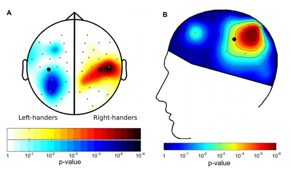 左脑、右脑与中心：情绪在大脑中不同位置的映射