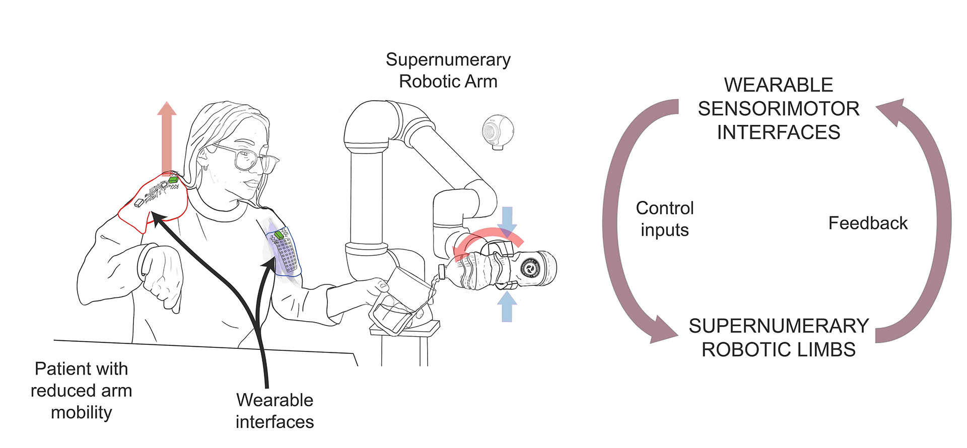 《流浪地球2》电影照进现实：人类如何控制“外骨骼”机器人