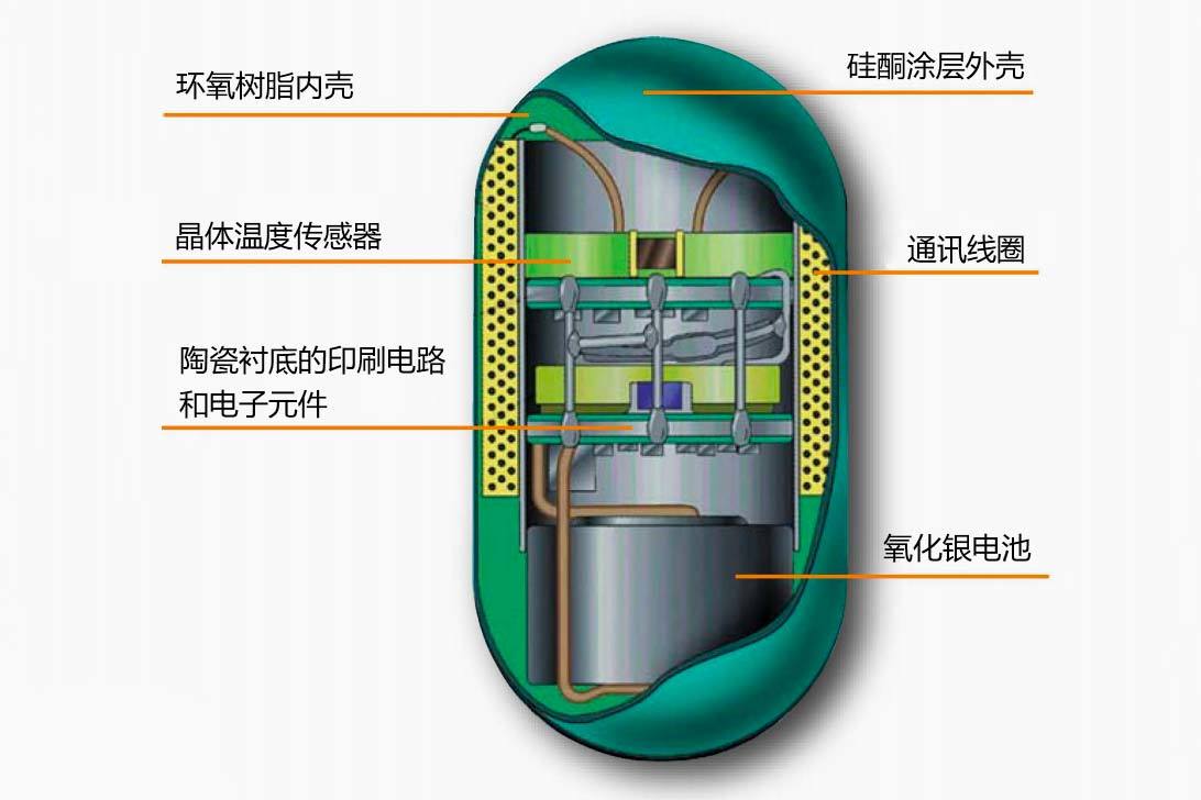 核心体温监测系统CoreTemp