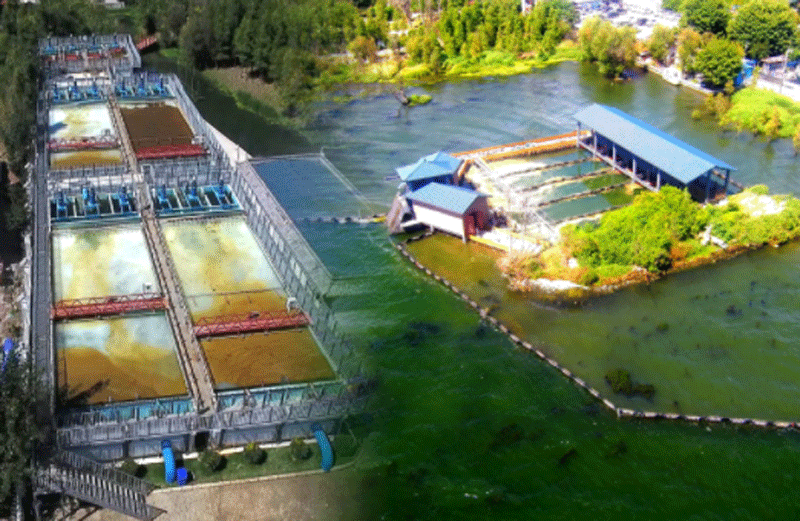 洱海5万m³/d蓝藻水华同治项目