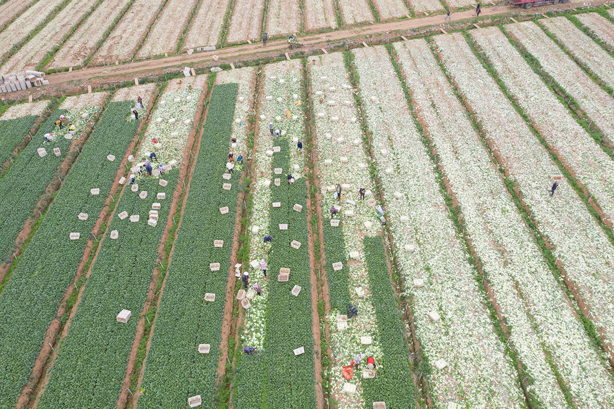 基地全貌