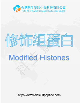 目录肽产品说明 目录肽产品说明