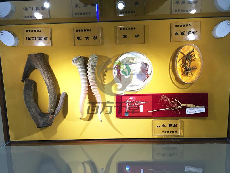 精品贵细标本