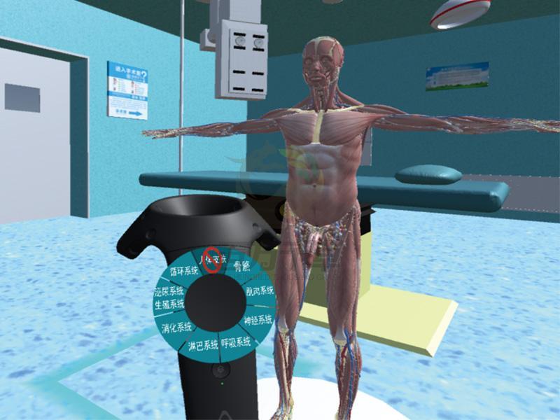 人体解剖学虚拟认知教学平台