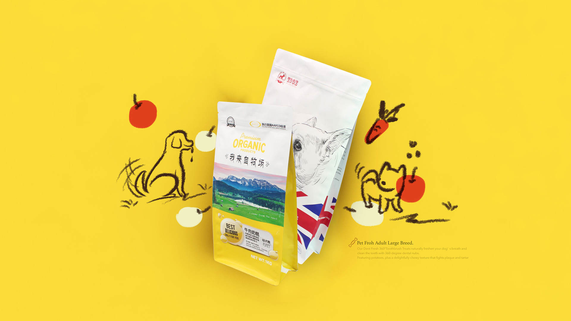Dragon Packaging - Focus on pet food packaging trustworthy
