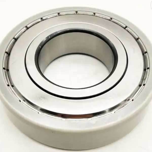 INSOCOAT deep groove ball bearings