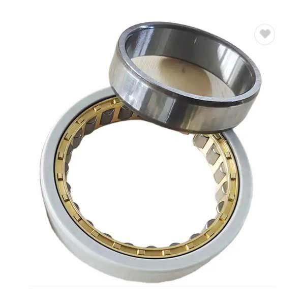 INSOCOAT cylindrical roller bearings
