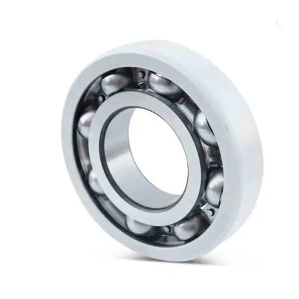 INSOCOAT deep groove ball bearings