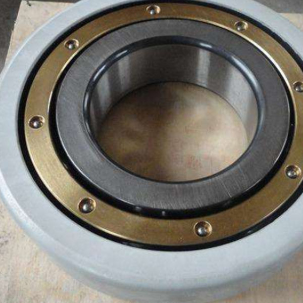INSOCOAT cylindrical roller bearings
