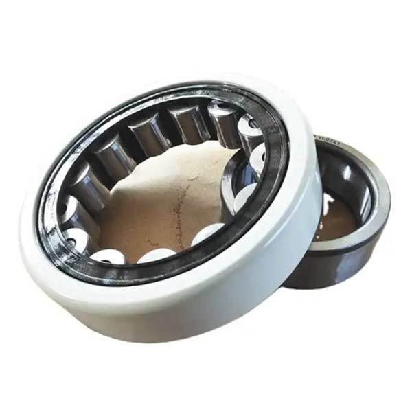 INSOCOAT cylindrical roller bearings