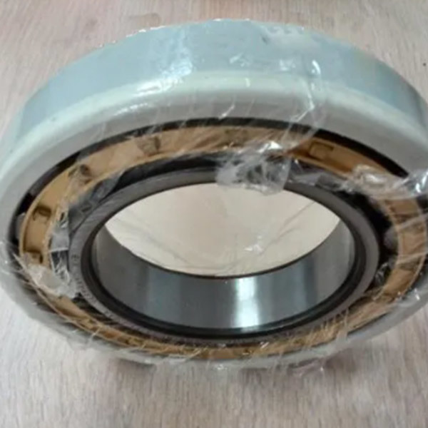 INSOCOAT cylindrical roller bearings