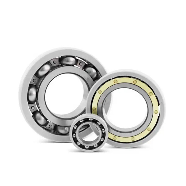 INSOCOAT deep groove ball bearings