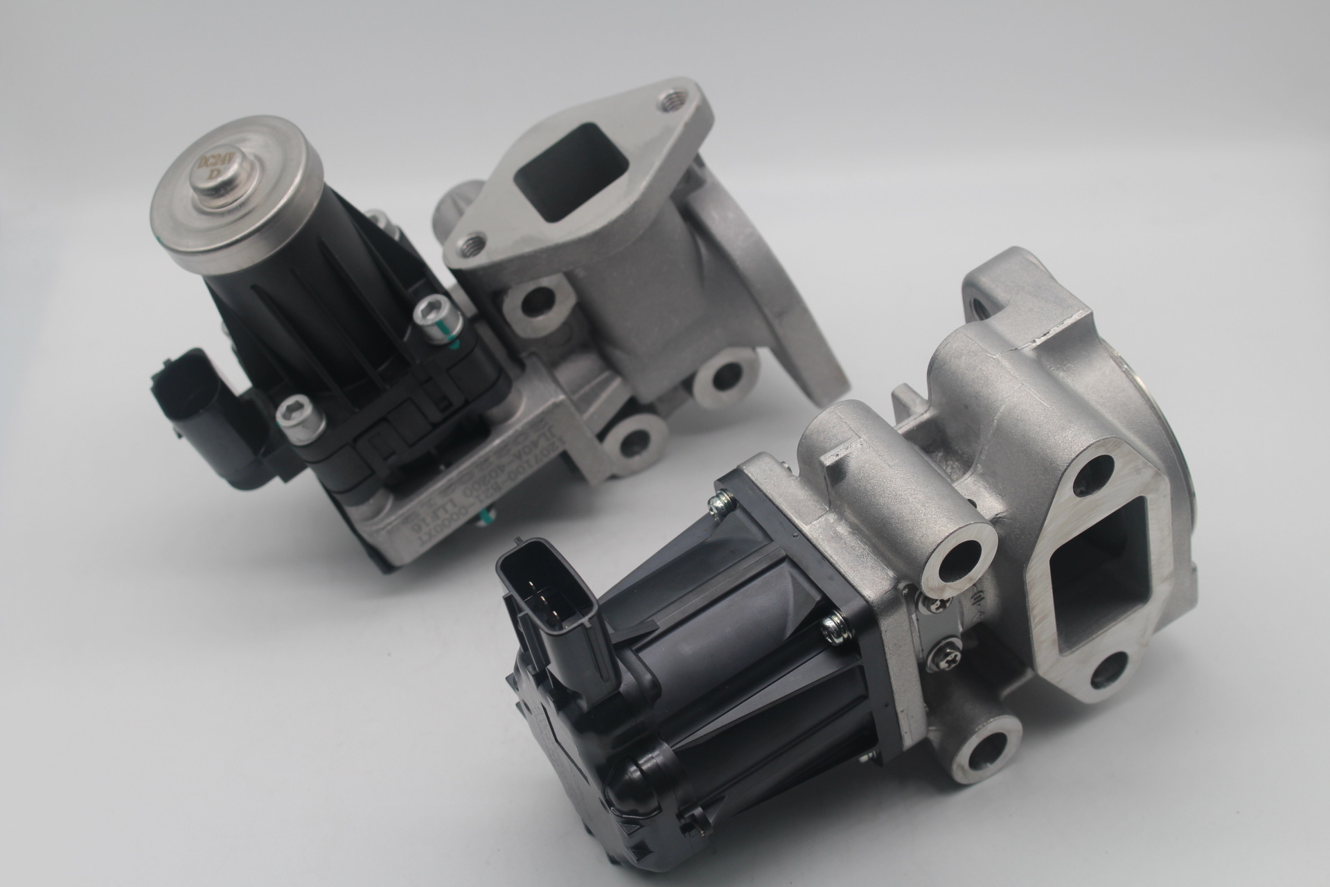 EGR valve