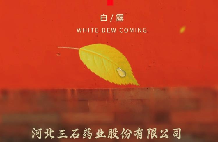 “蒹葭苍?Q白露ؓ霜”一q最有诗意的节气Q悄然而至? title=