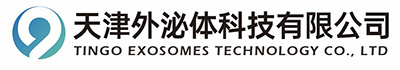 wmt
