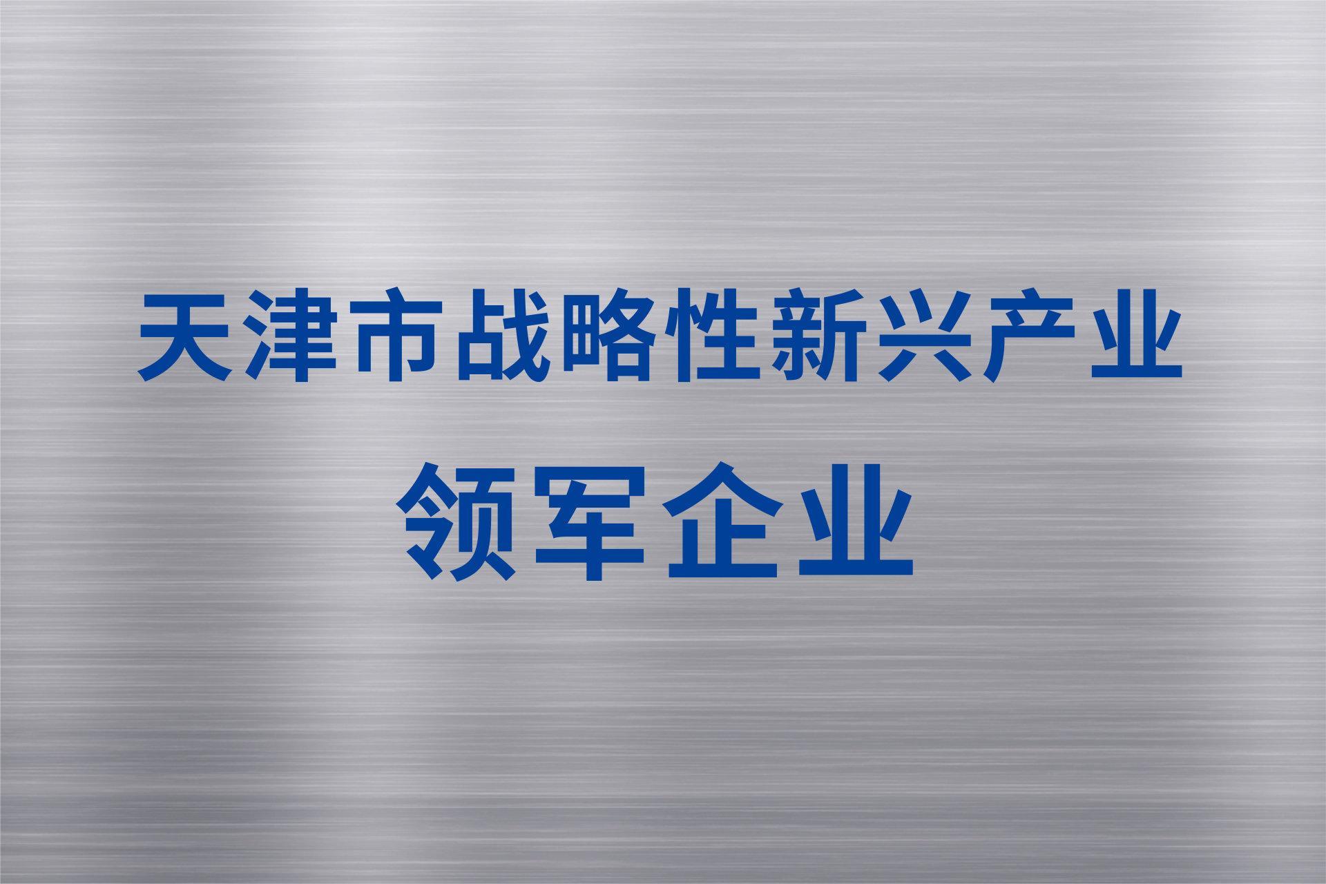 天津市戰(zhàn)略性新興產(chǎn)業(yè)領軍企業(yè)