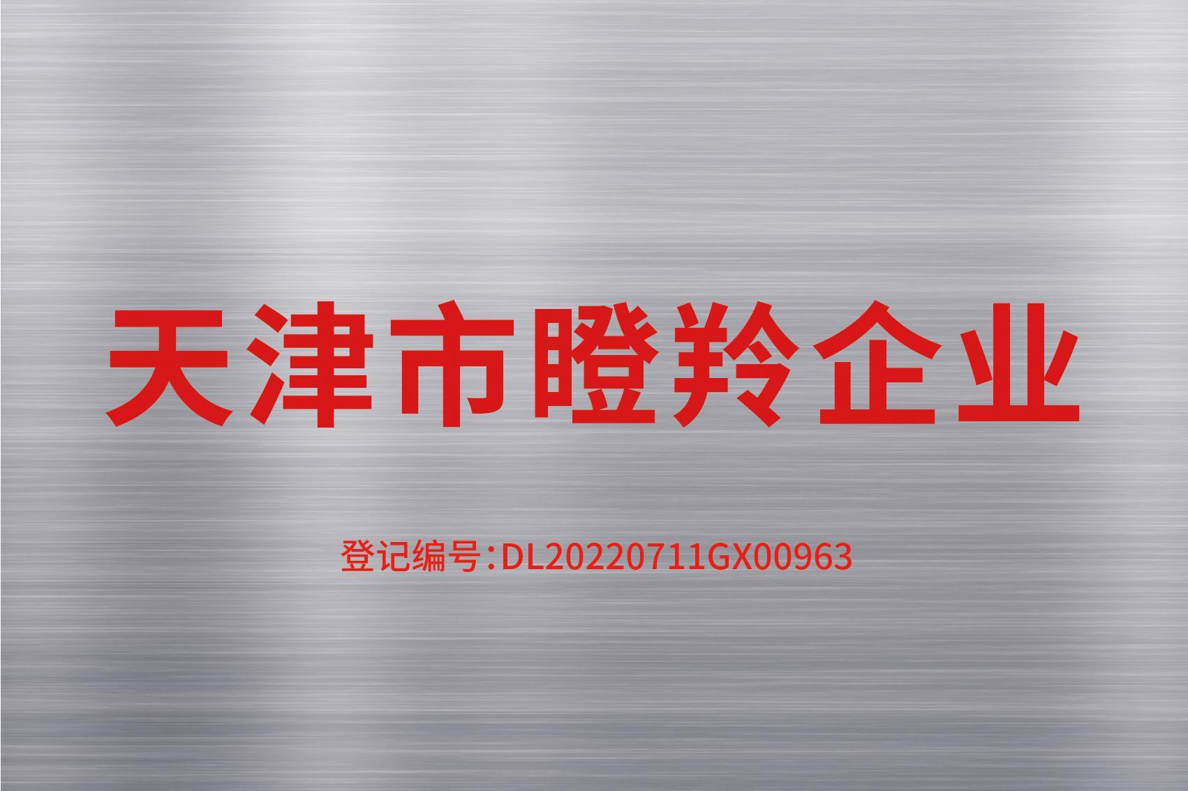 天津市瞪羚企業(yè)