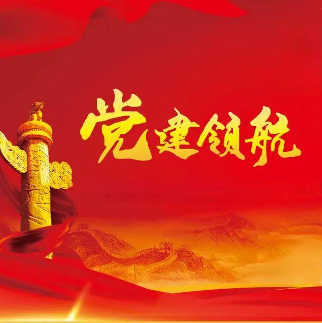 人生就是搏(中国区)官方网站建投集团基层党委换届工作圆满完成
