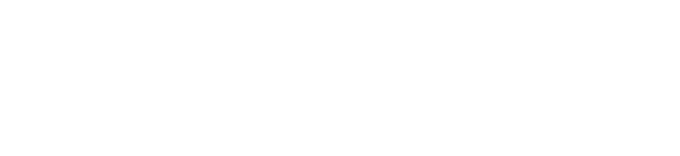 愛(ài)爾迪