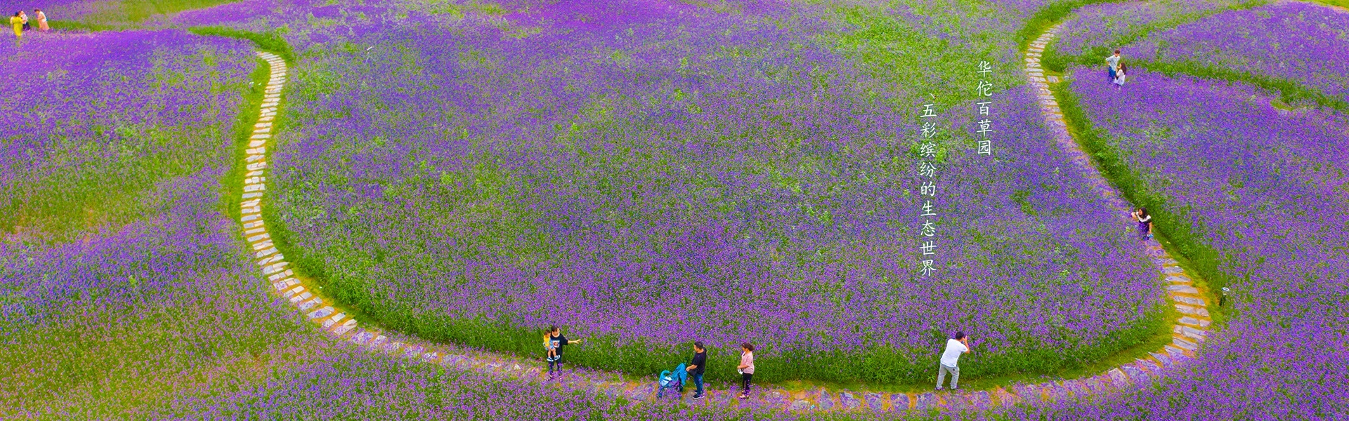 華佗百草園