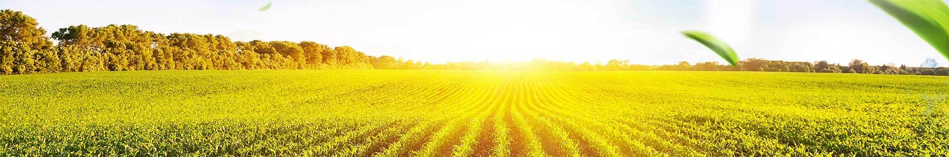 DEKEN-Double the value of your land