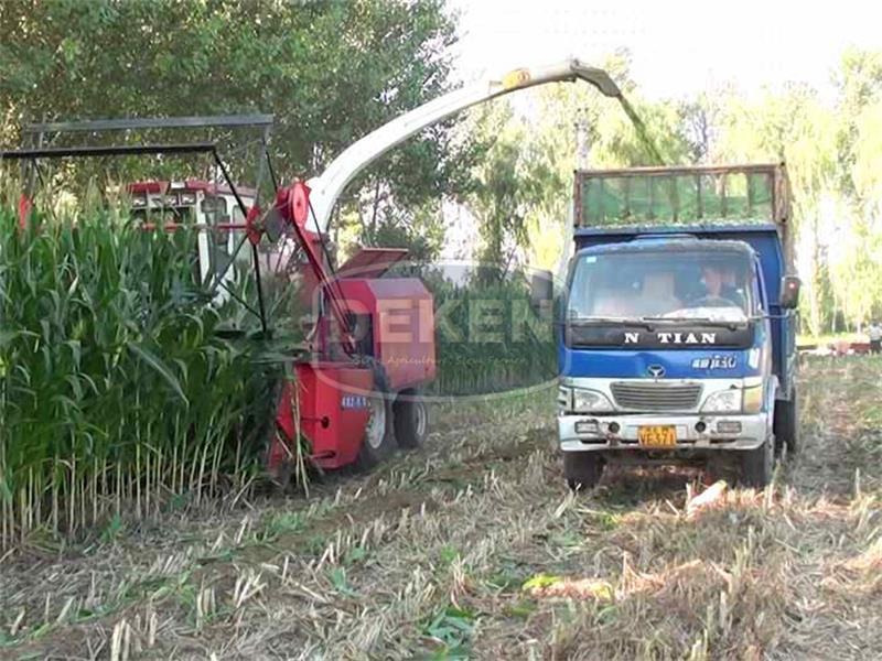 Silage Harvester-Self-propelled Silag Harvester