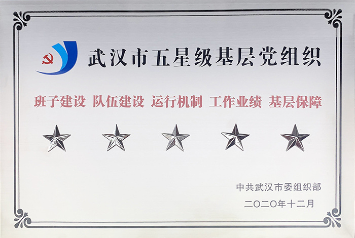武汉市五星级基层党组织 武汉市五星级基层党组织