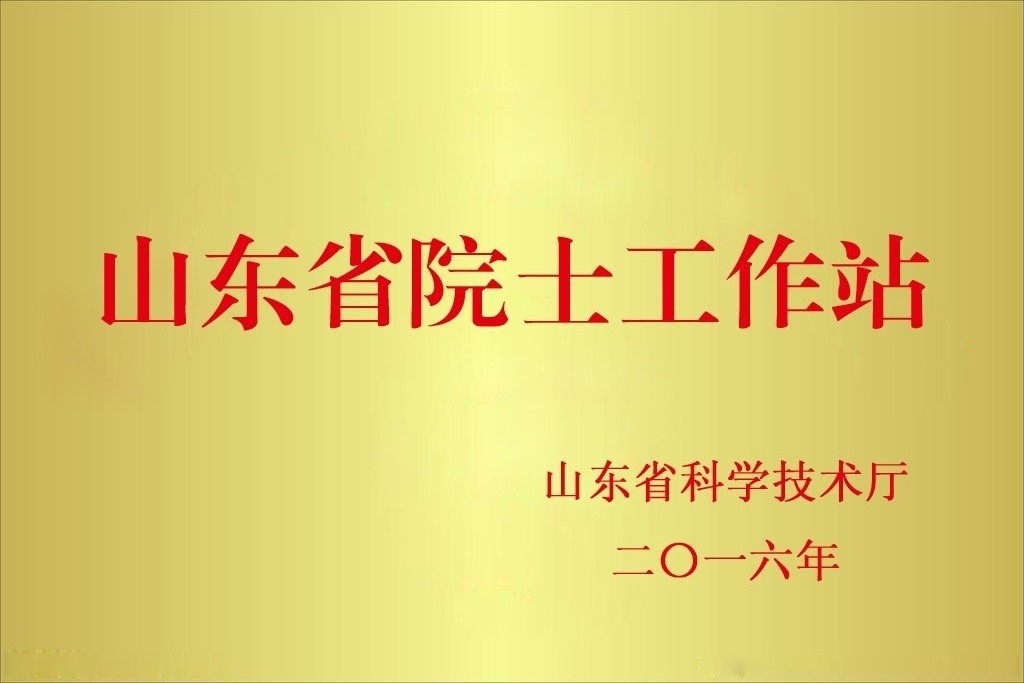 山東省院士工作站