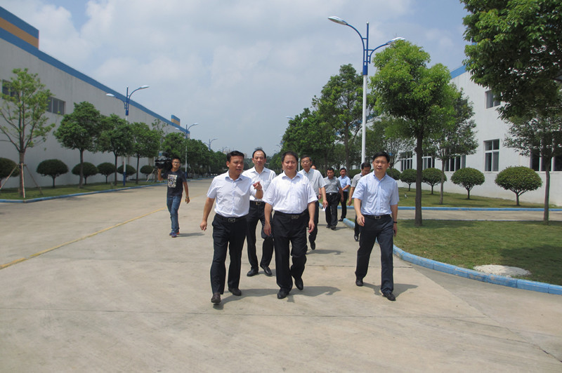 Xinyi city mayor Chen tangqing accompanied the superior leaders to inspect huaxin company
