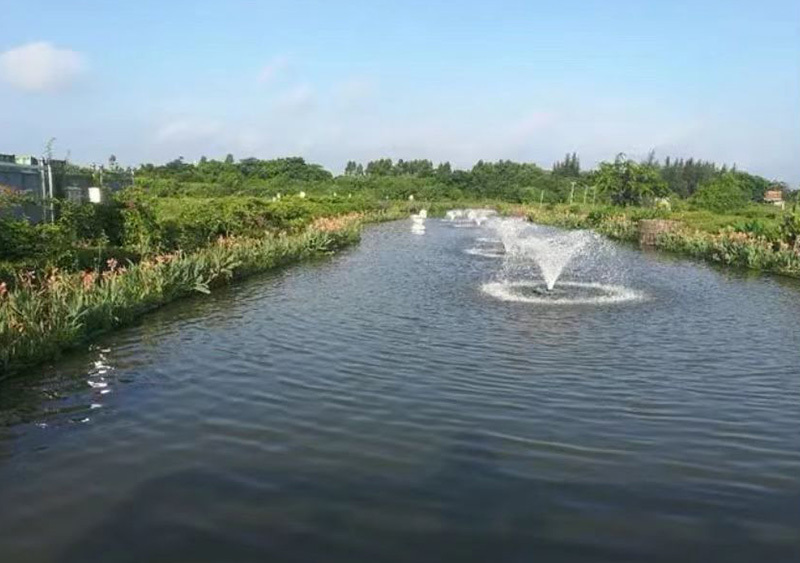 黑臭河道治理
