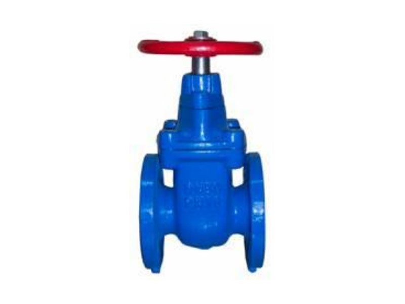 Rising Stem Gate Valve