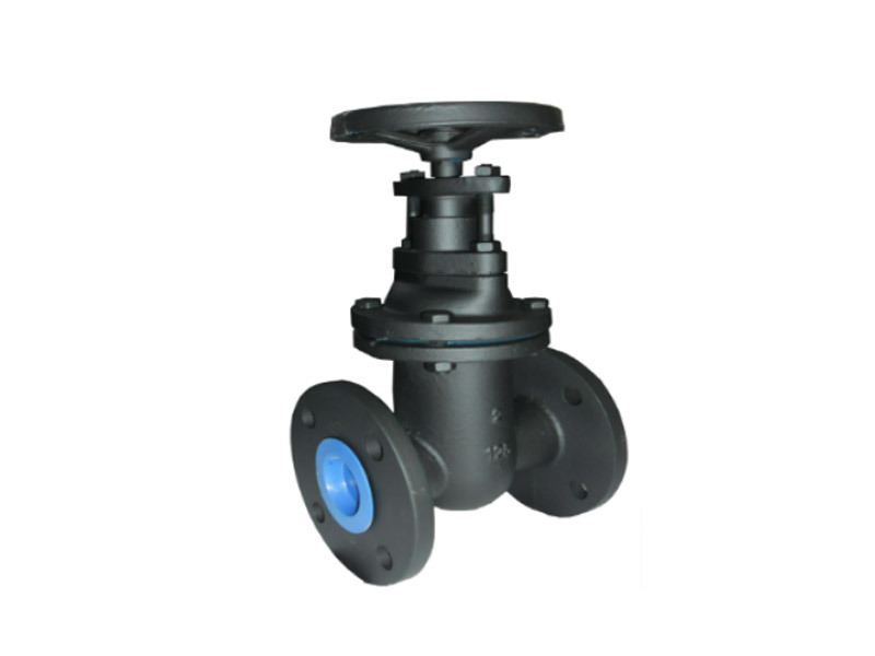 ANSI Gate Valve